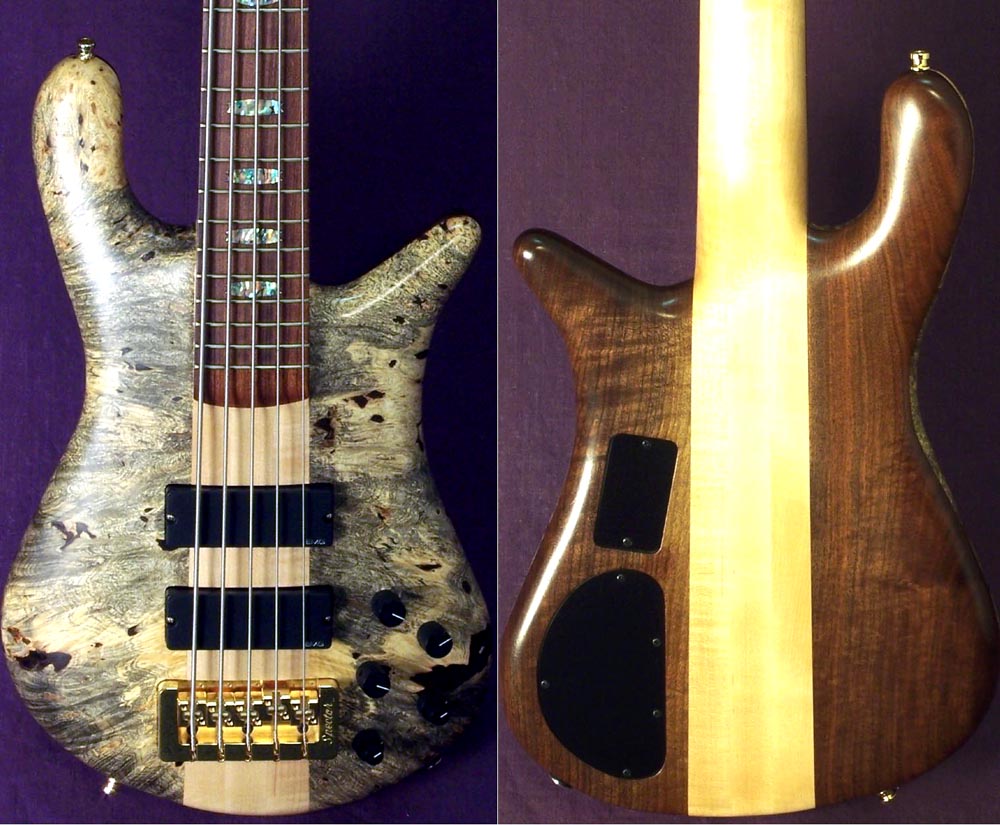 spector buckeye burl